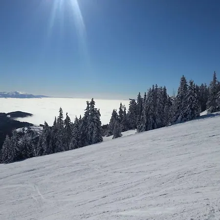 Klippitzstern House 2 *