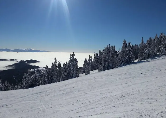 Klippitzstern House 2 *